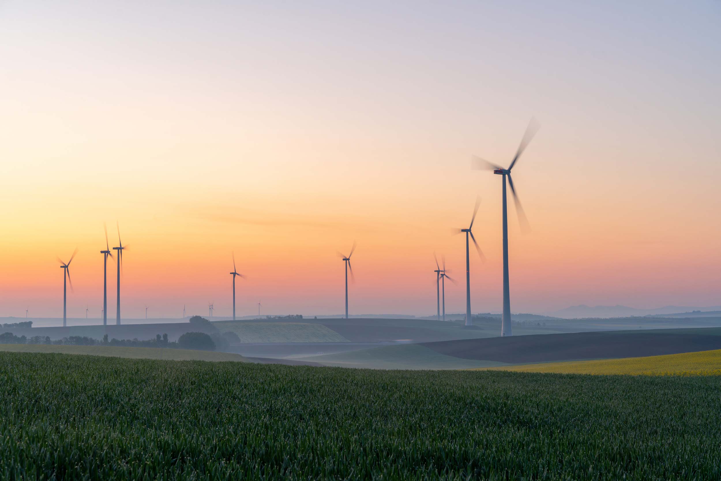 Field of wind turbines in sunset
